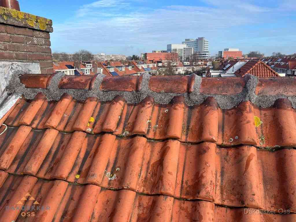 Oss Daken Renoveren Oss Daken Renoveren