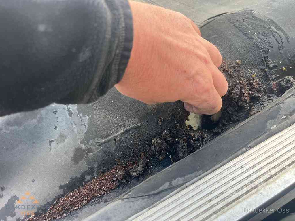 Plat Dak Reparatie Oss Plat Dak Reparatie Oss